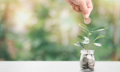 Investing in the Future_ The Boom of Green Bonds and Sustainable Investments