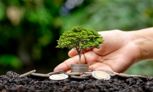 Bridging the Gap_ The Intersection of Finance and Environmentalism for Social Good